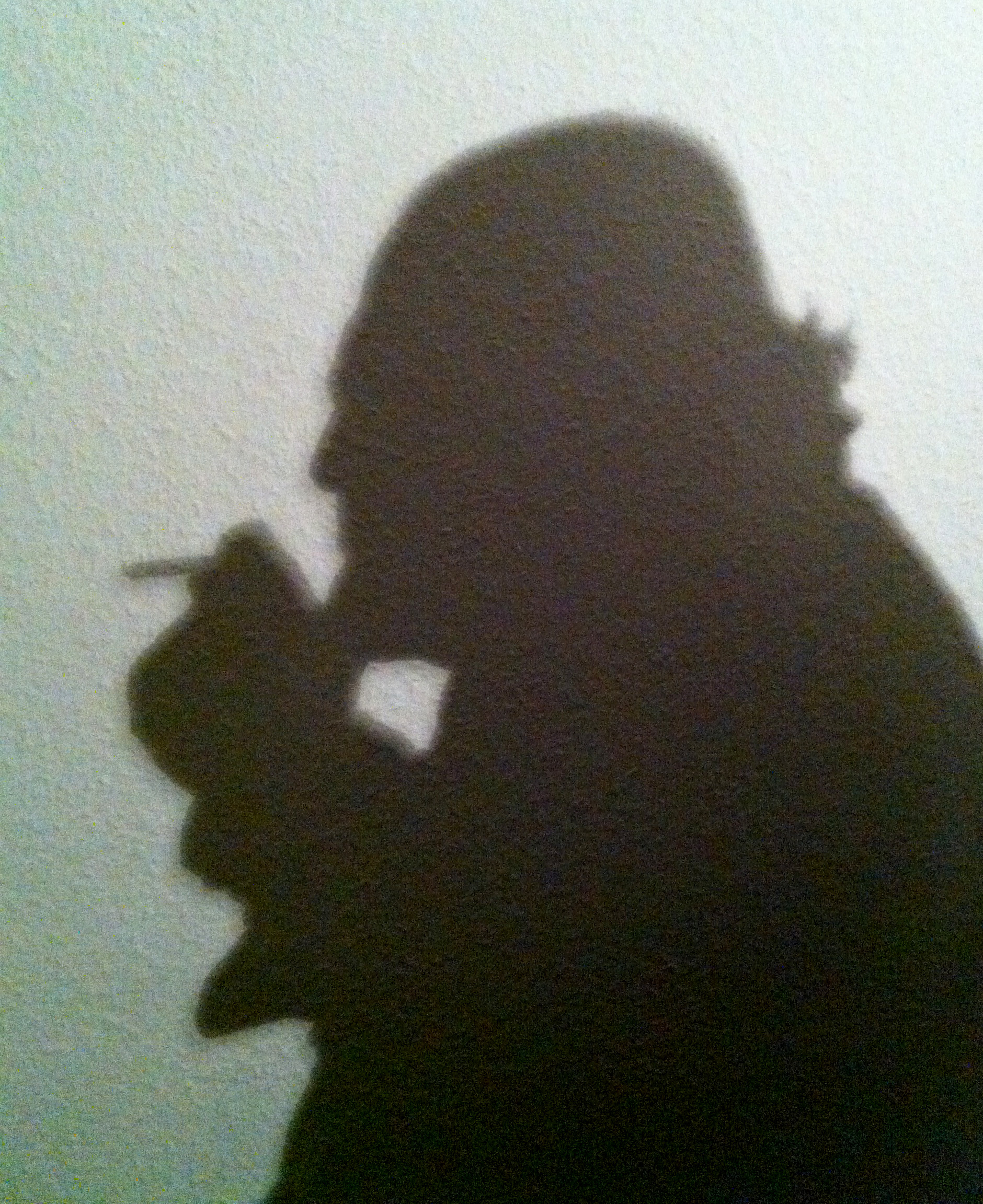 Shadow, Installation/ 2012